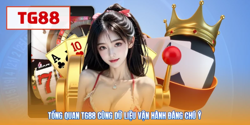 Tổng quan TG88 cùng dữ liệu vận hành đáng chú ý